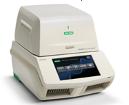 CFX 96 Touch 荧光定量PCR仪